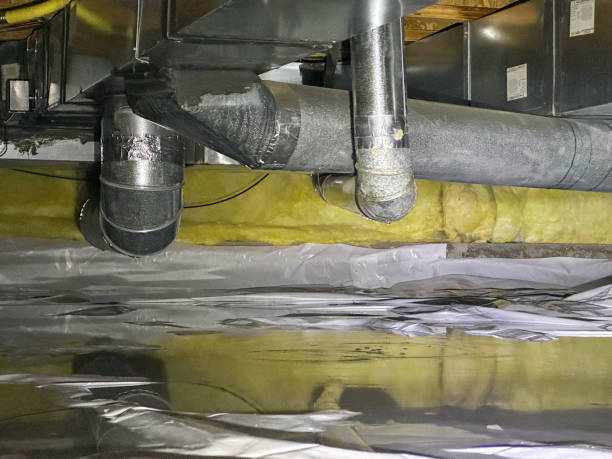 Best Water damage restoration mold remediation  in Golden Grove, SC