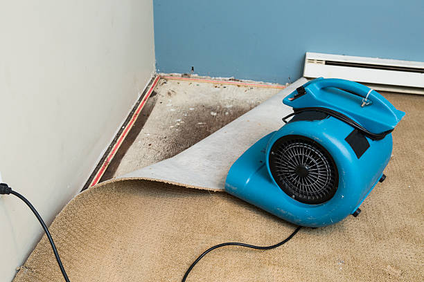 Water damage restoration mold remediation in Golden Grove, SC